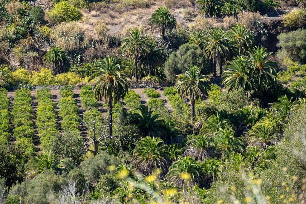 Garden View Iguazu 3 Near Yumbo Apartment Playa del Ingles (Gran Canaria)